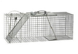 medium-sized live trap