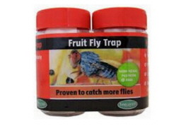 fruit fly trap